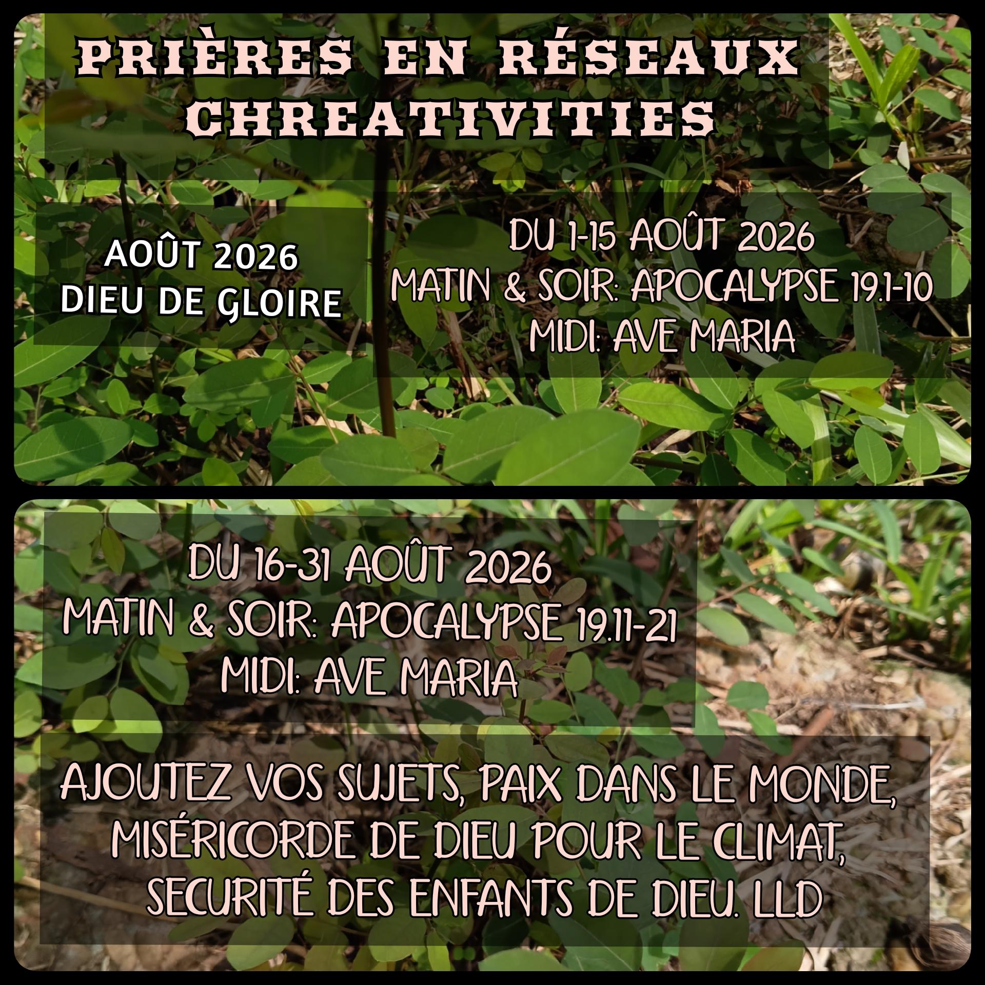 PER AOÛT 2026